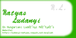 matyas ludanyi business card